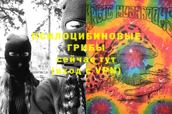 твердый Алзамай