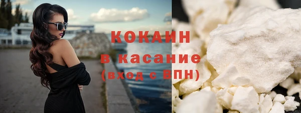 твердый Алзамай